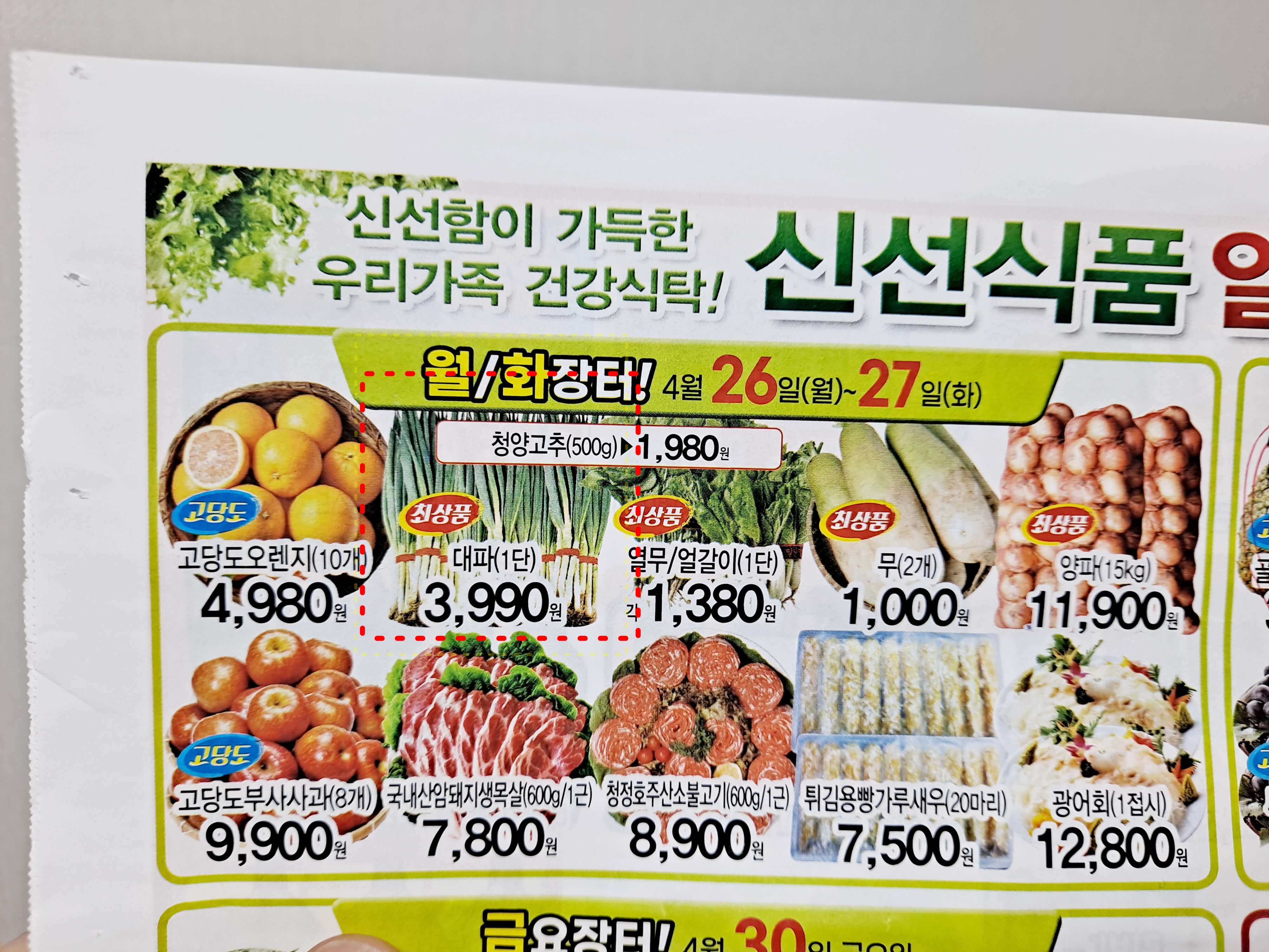  5월에는 대파값이 반값으로 내려 올까?