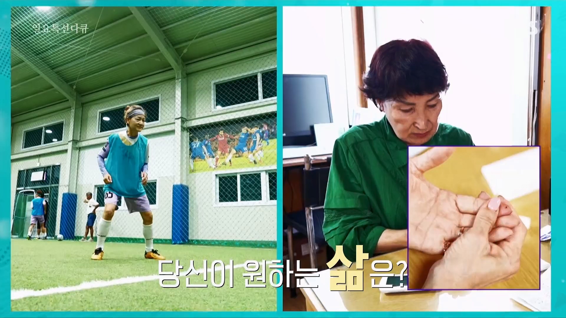 일요 특선 다큐멘터리.E319.230910p.H264-F1RST.mp4_20230918_202628.311.jpg