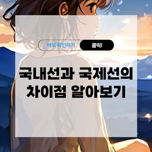 국내선과 국제선의 차이점 알아보기