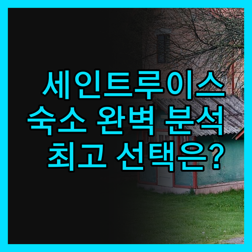 세인트 루이스 숙소 완벽 분석! 다운
