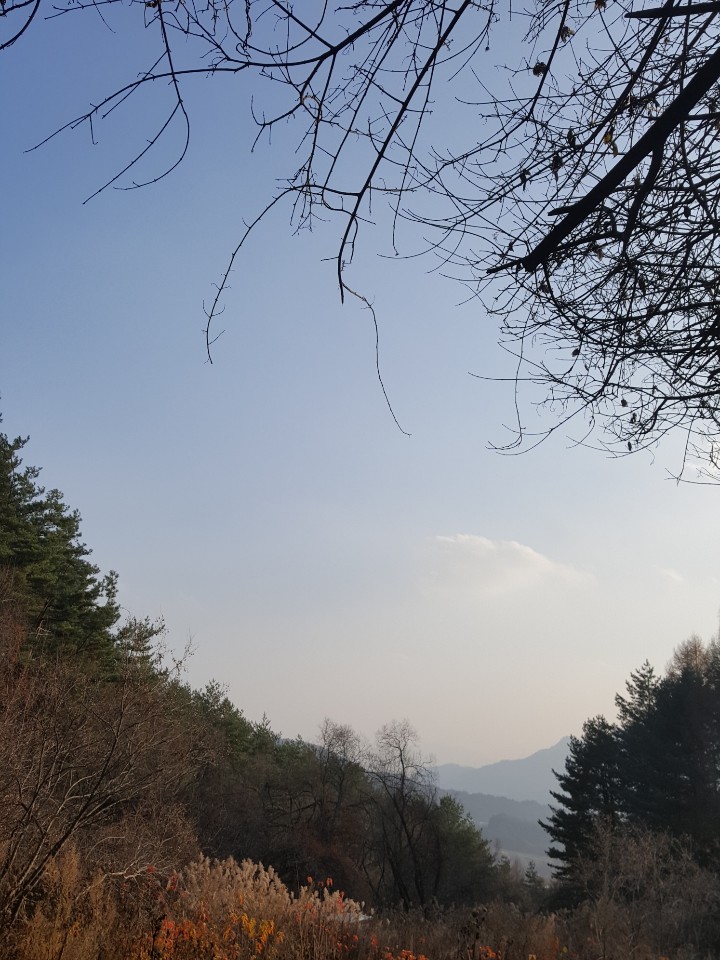  미세먼지 없는 강원도 어느 산