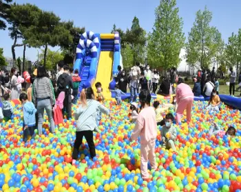 함평 나비축제_25