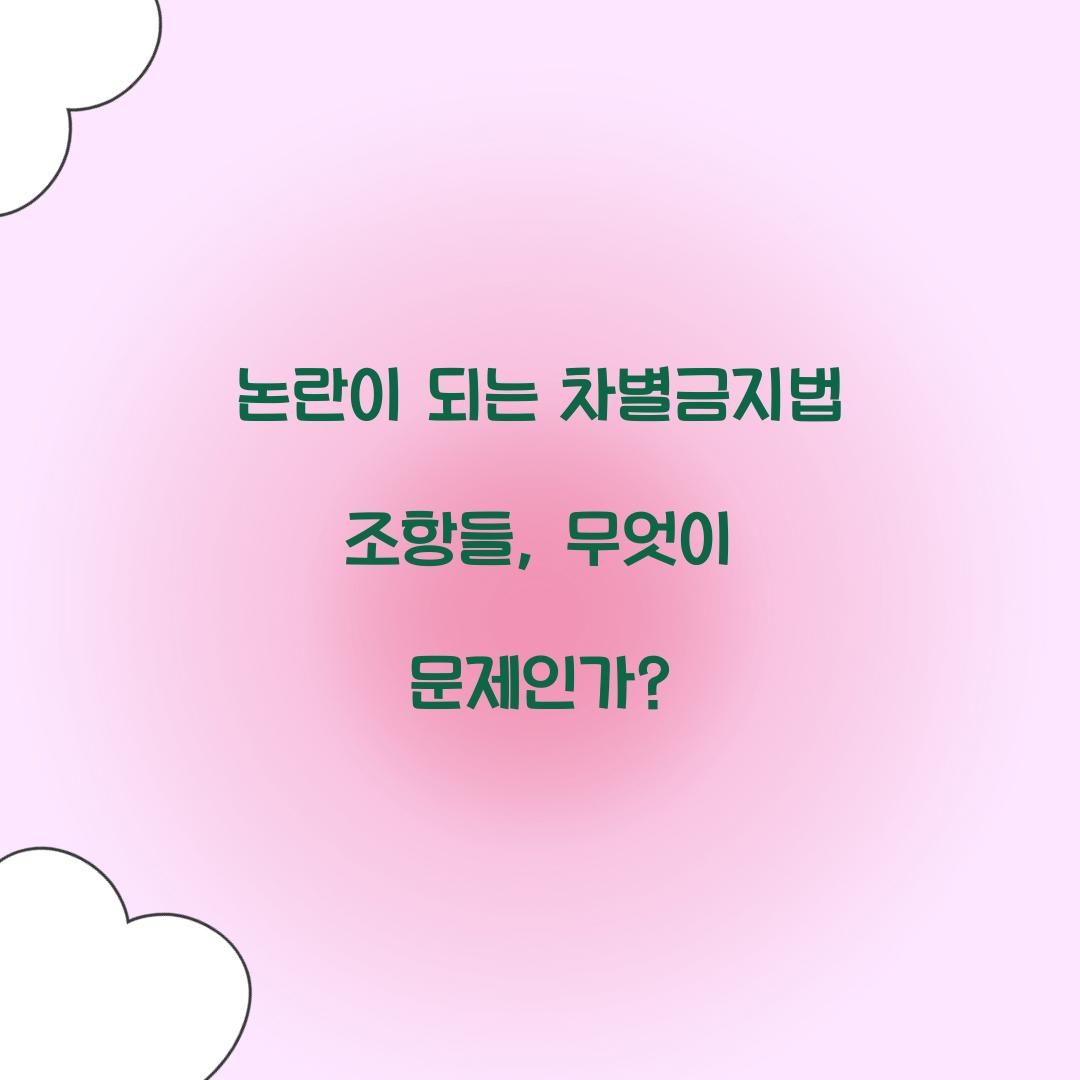 논란이 되는 차별금지법 조항들