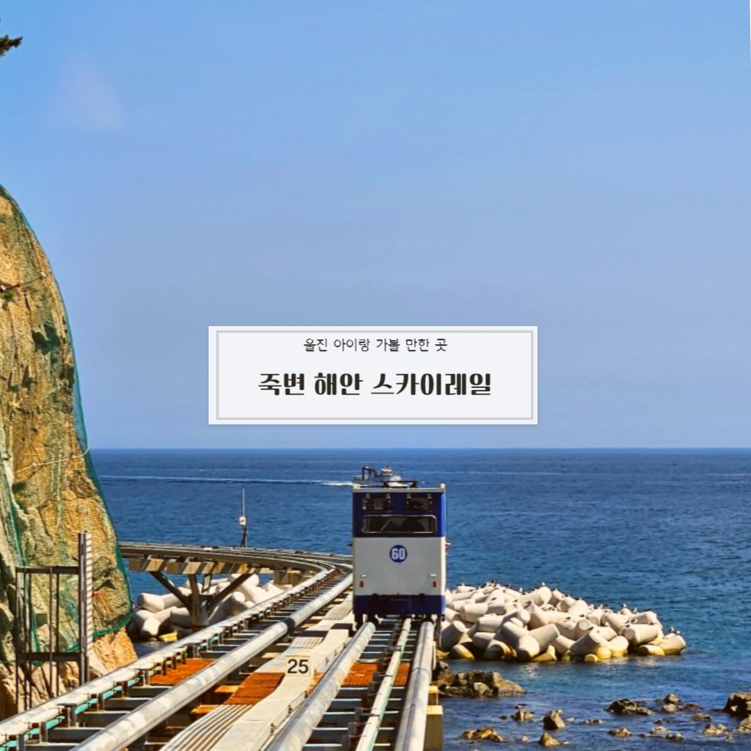 울진 죽변 해안 스카이 레일 _