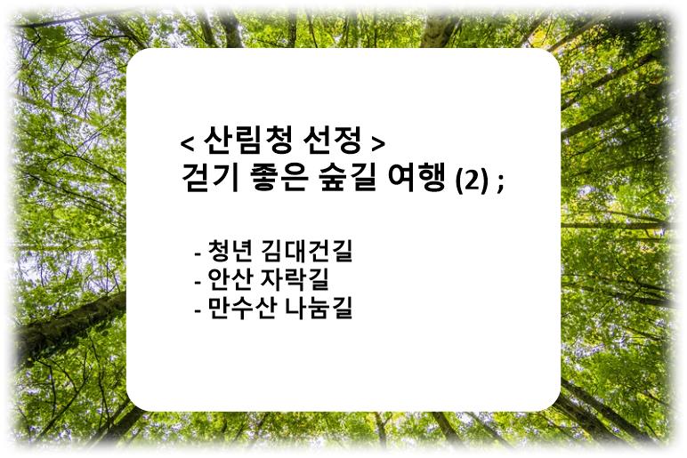 &quot;산림청 선정&#44; 무장애로 떠나는 특별한 숲길 여행 (2) ; 청년 김대건길&#44; 안산 자락길&#44; 만수산 나눔길&quot;