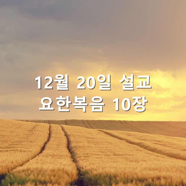  12월 20일 설교 요한복음 10장 22절~39절