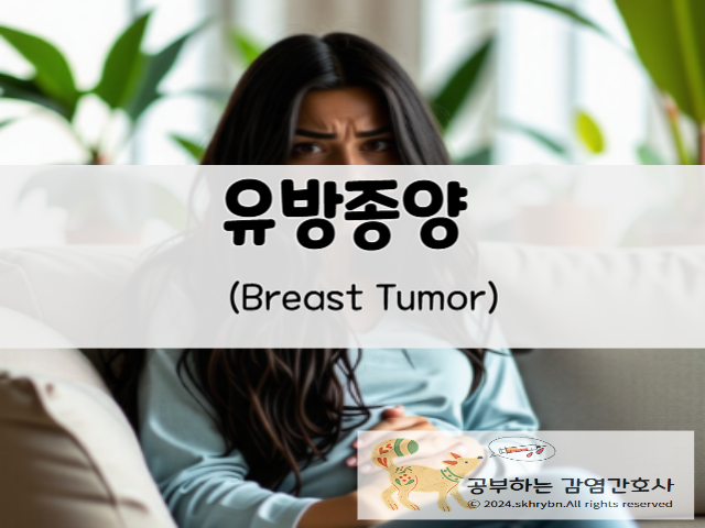 의학 정보_유방 종양(breast tumor) 양성, 종류, 조직 검사 및 제거 수술