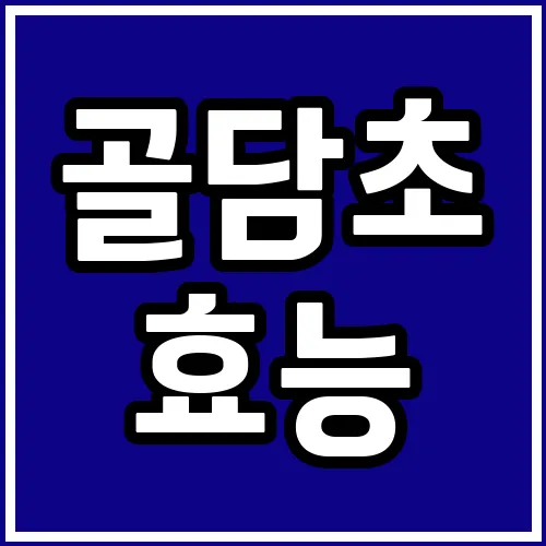 골담초 효능