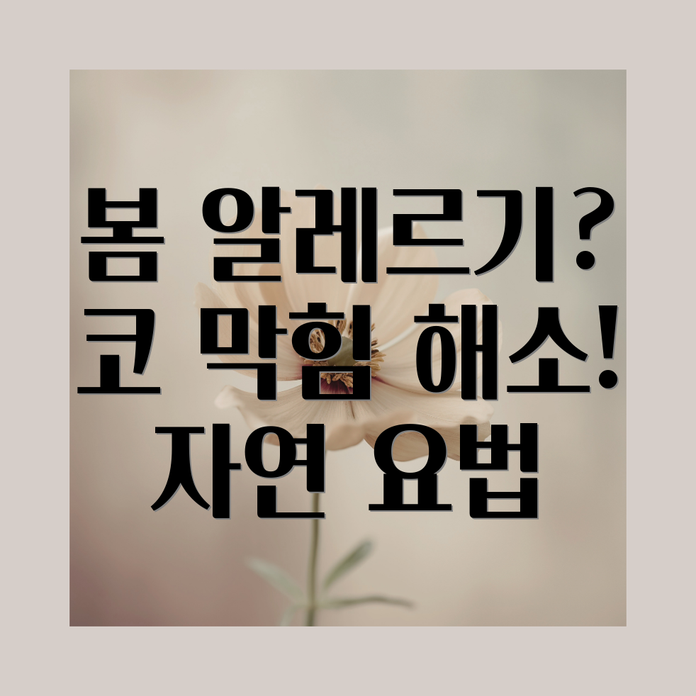 봄 알레르기 코 막힘