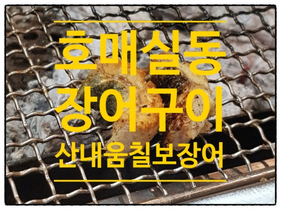  호매실동 장어구이 맛집 산내움칠보장어 단골집!!