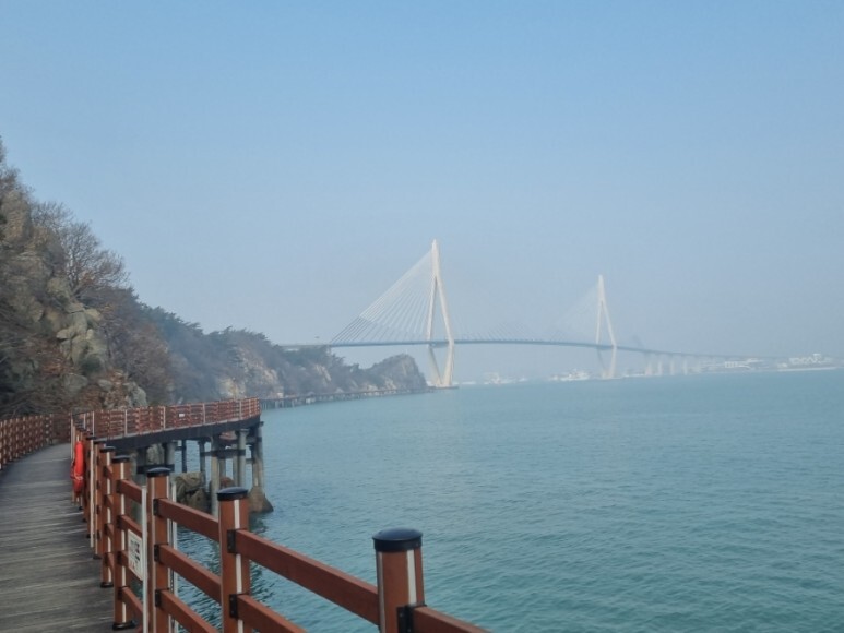 내일엔목포 이미지