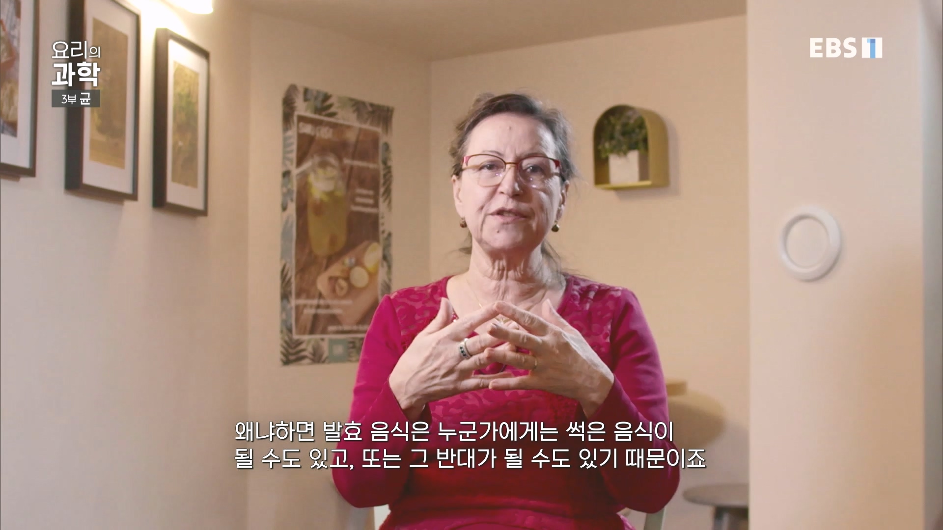 EBS 다큐프라임.201207.요리의 과학 - 3부 균0p.mp4_20240411_202637.833.jpg