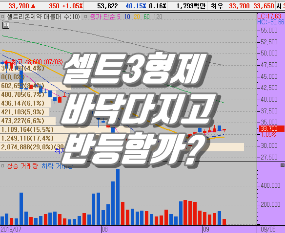  셀트리온제약 주가 지속적인 하락 원인은 무엇일까?