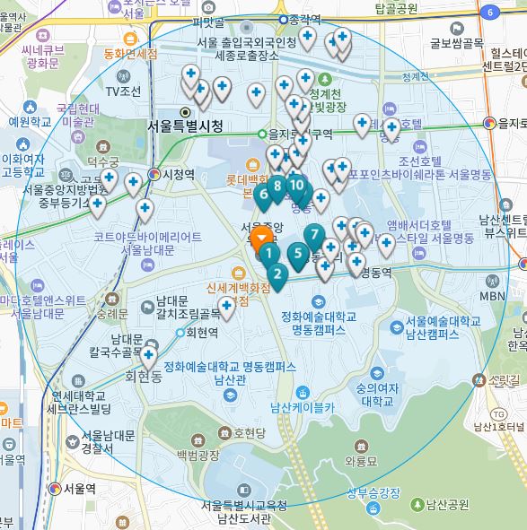 서울시 중구 충무로1가 일요일 진료 휴일 문 여는 병원