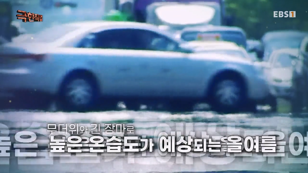 TV - 전 국민의 평생학교 EBS여름, 무더위를 잡아라 단열과 냉방.mp4_20230604_180848.866.jpg