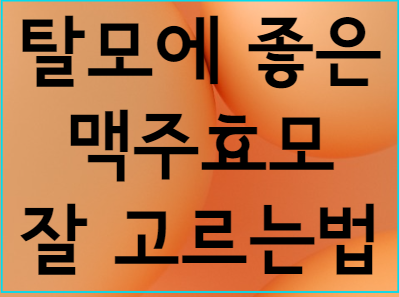  모발건강을 책임지는 맥주효모 영양제를 소개합니다