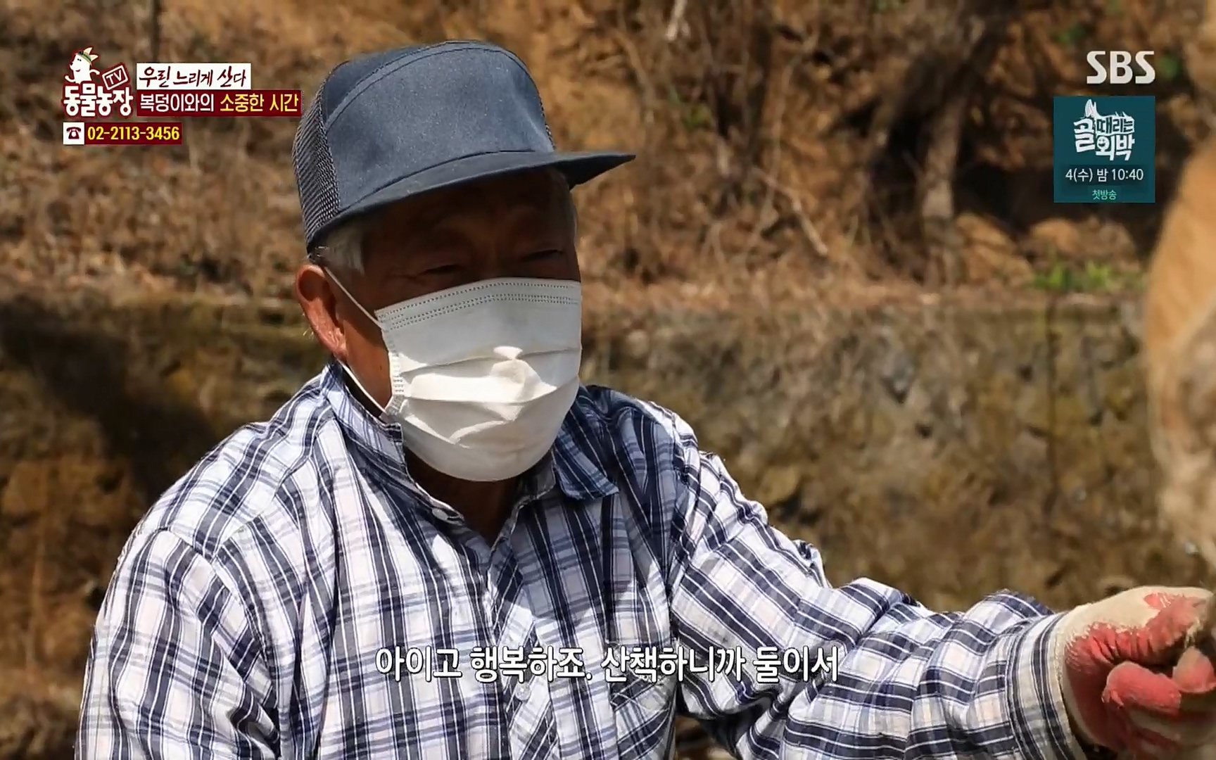 TV 동물농장.E1067.220501p.H264-F1RST.mp4_20220501_184308.146.jpg