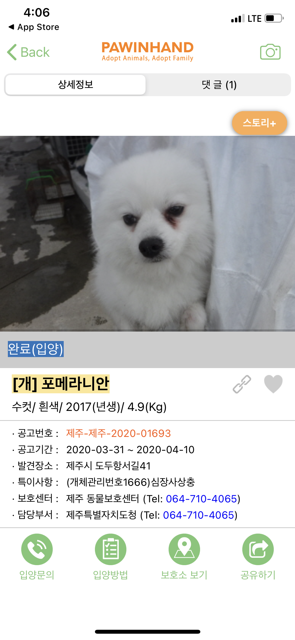  [유기견 입양] 유기견 입양 시 고려사항 1탄[생활환경편]