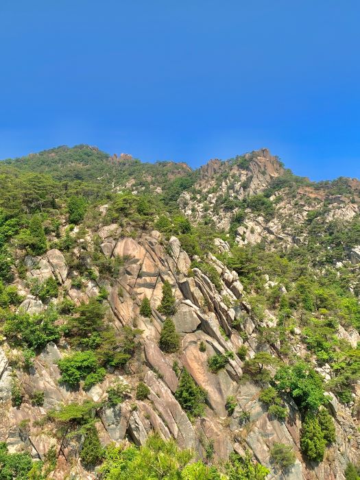용봉산-등산코스