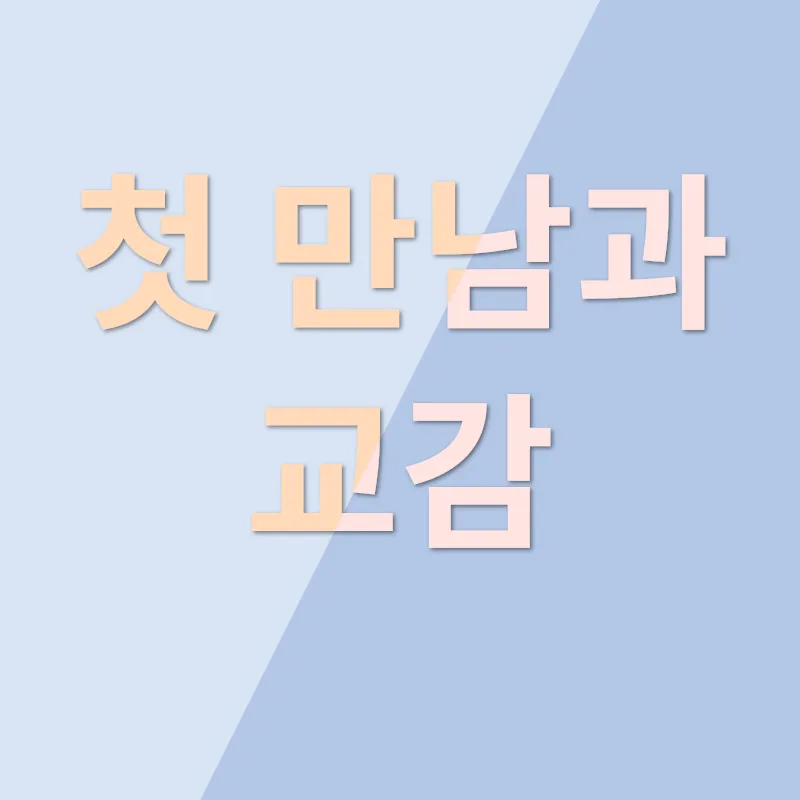 고양이 분양_3