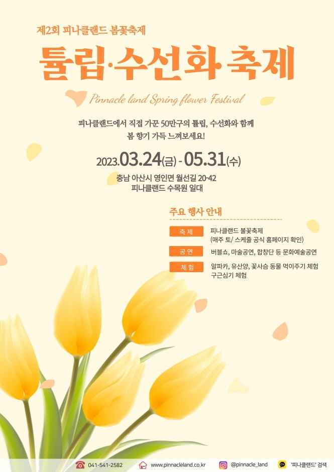 피나클랜드 튤립/수선화 축제