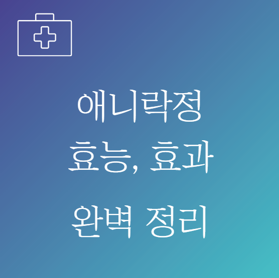 애니락정