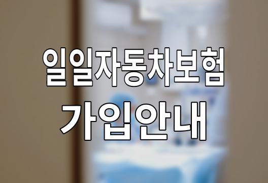 일일자동차보험 단기보험 가입방법