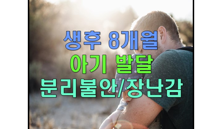  생후 8개월 아기 발달 : 분리불안, 장난감