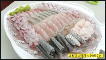 6월 제철회 종류별 신선한 해산물의 맛있는 향연_5