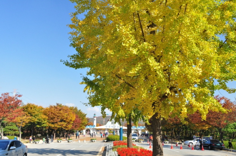 인천 대공원