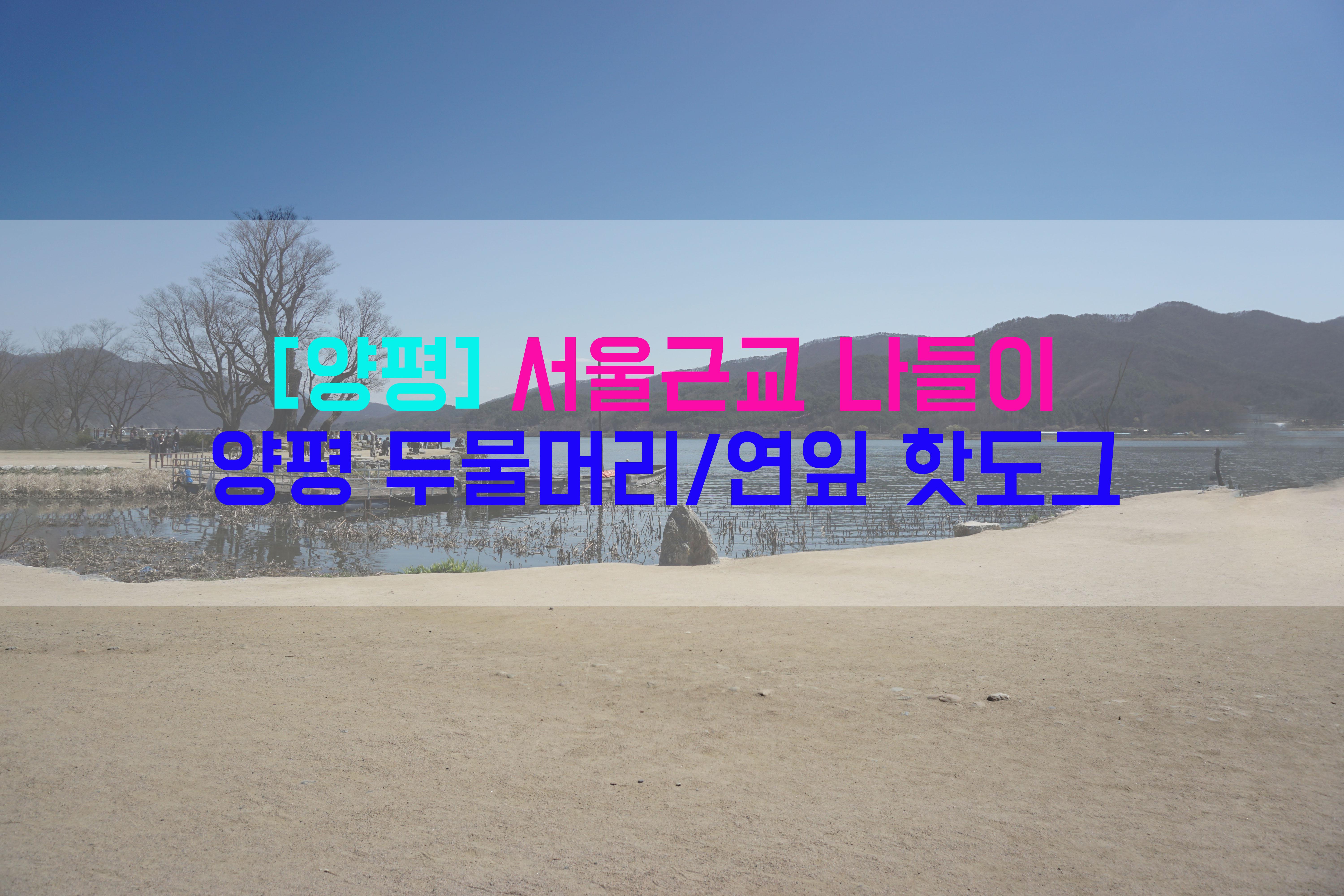  [양평] 서울근교 나들이…양평 두물머리/연잎 핫도그