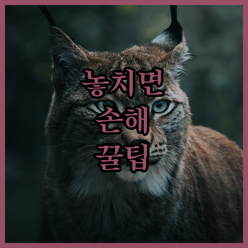기술 동반성장 R&D 협력사업 완전 