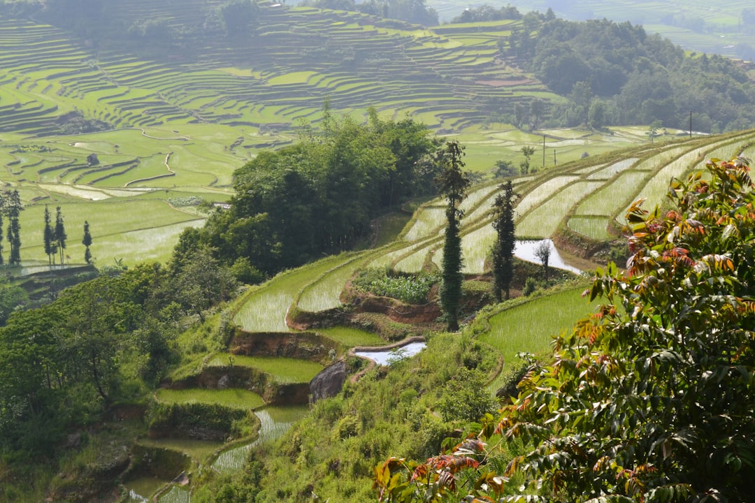 Yunnan