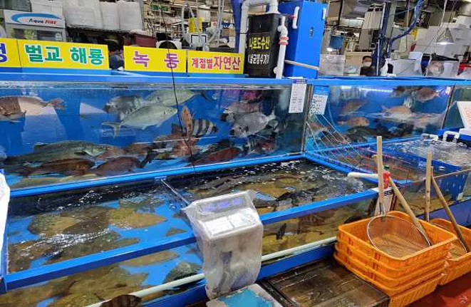 롯데백화점 김포공항점
