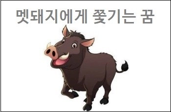 멧돼지에게 쫓기는 꿈