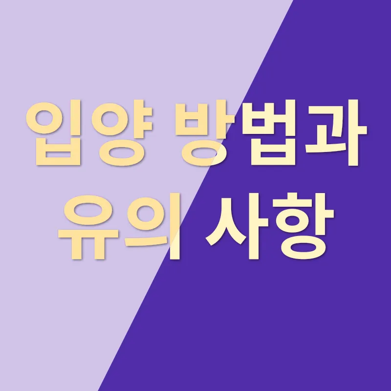 고양이 입양_2