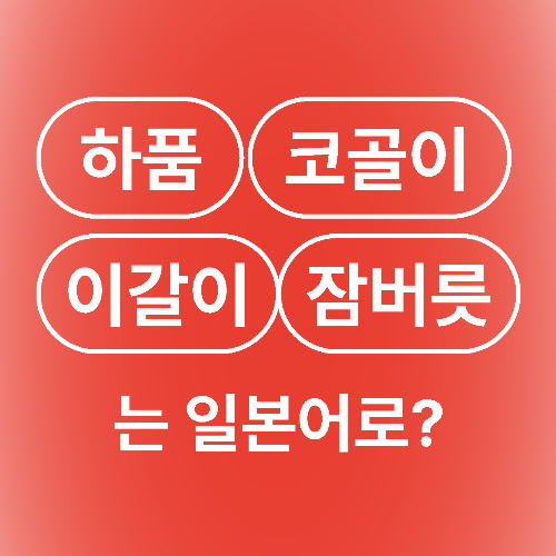 하품 코골이 이갈이 잠꼬대 잠버릇 생리현상 일본어로