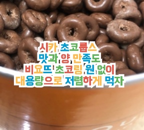 시카-초코룹스-가격-맛-후기
