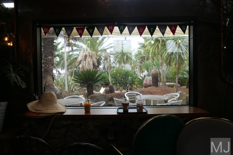 어린왕자 체험 in 감귤밭 카페 56