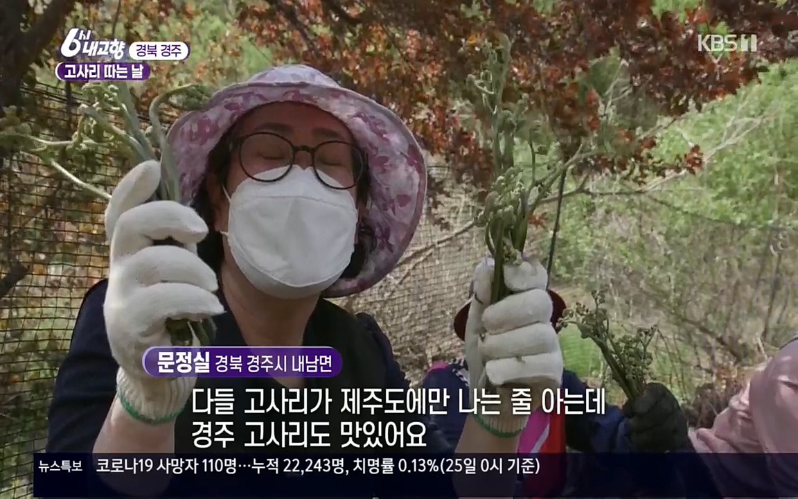 6시 내고향.E7518.220426p.H264-F1RST.mp4_20220504_190741.290.jpg