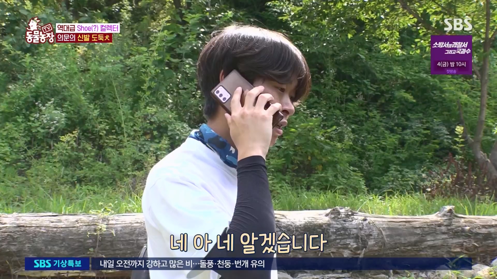 TV 동물농장.E1130.230723p.H264-F1RST.mp4_20230723_171218.705.jpg