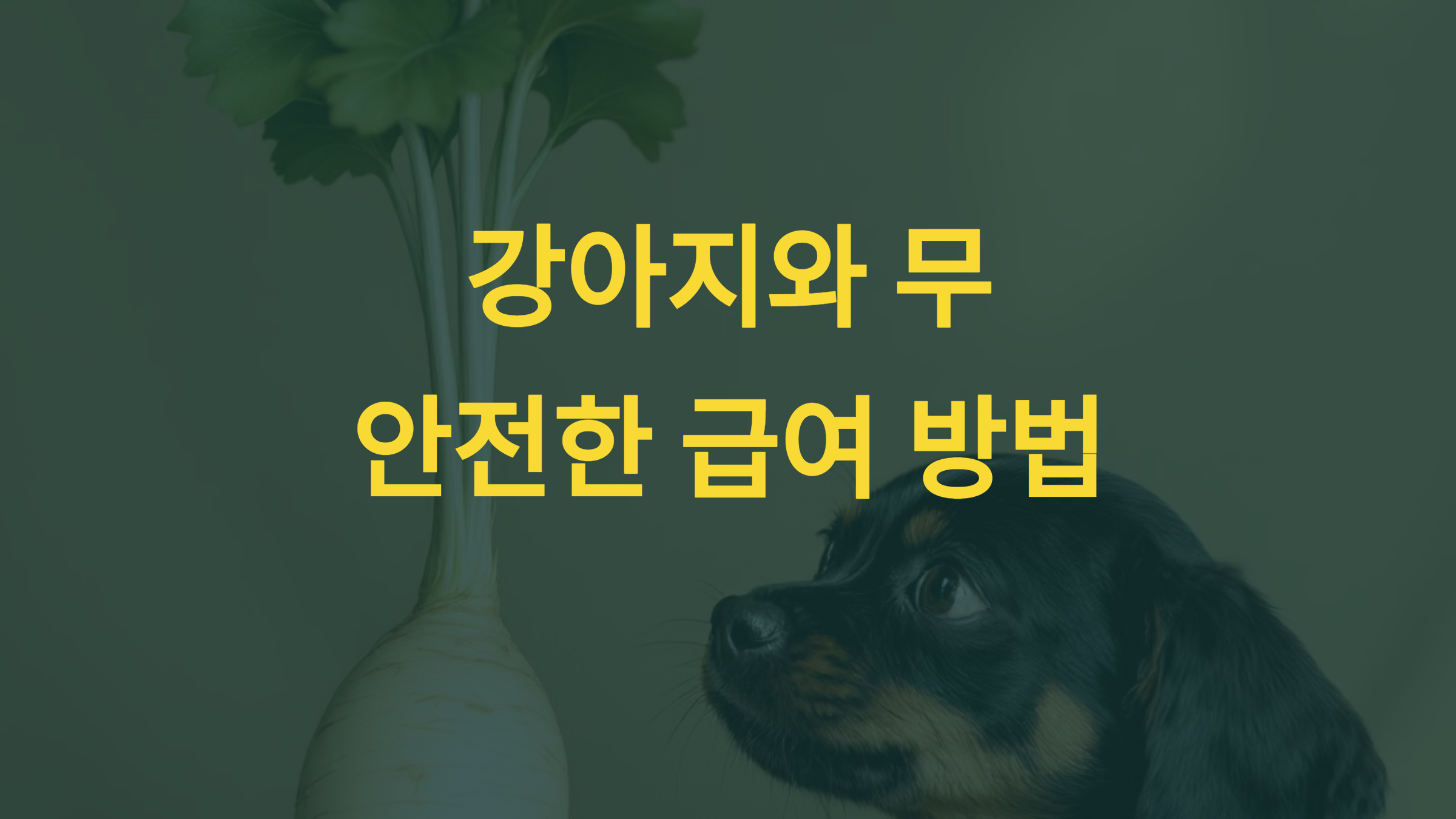 🐶 강아지가 생무를 먹었을 때 소화 장애 가능성