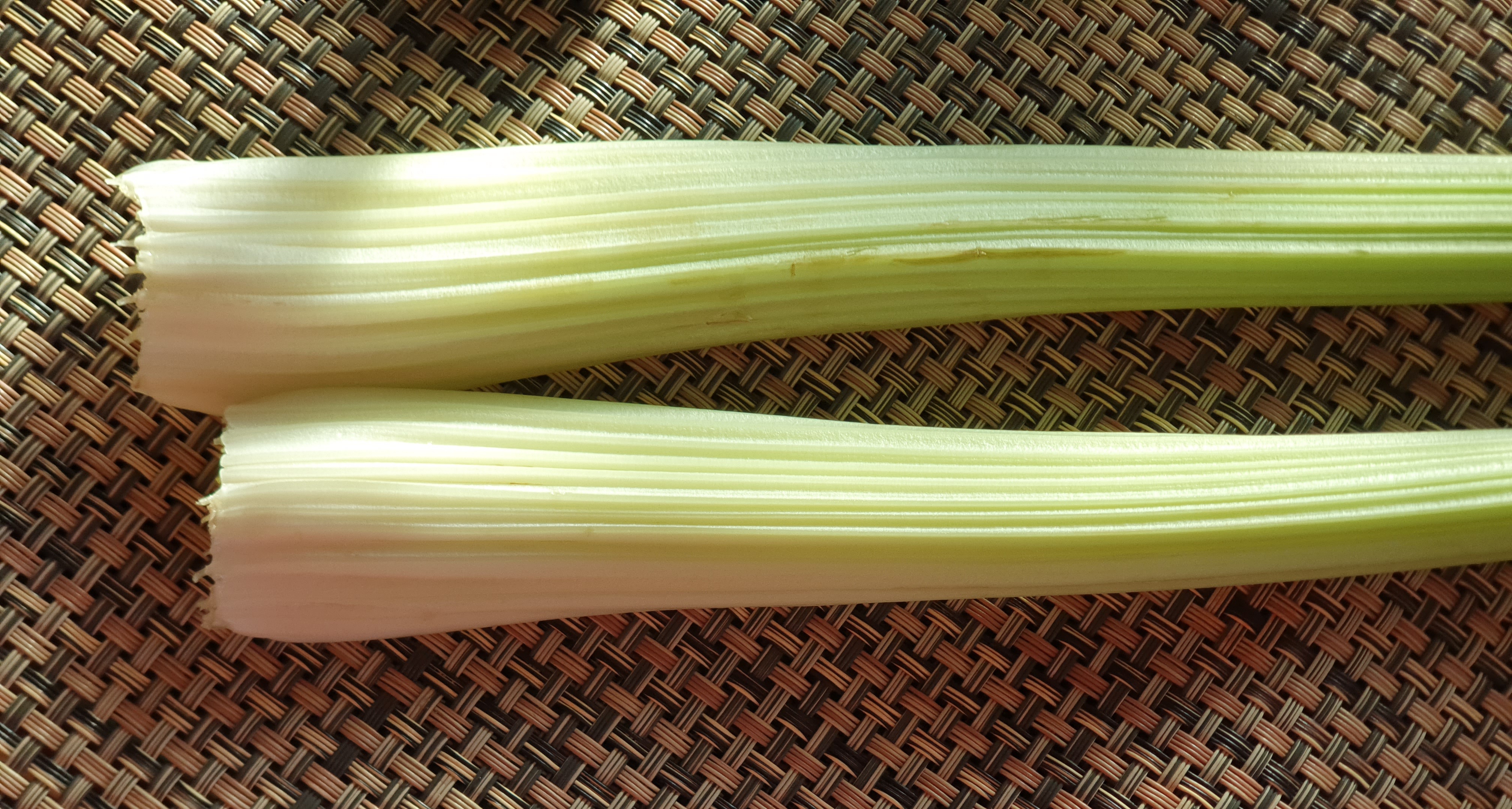 우리 몸에 좋은 셀러리(celery) 줄기