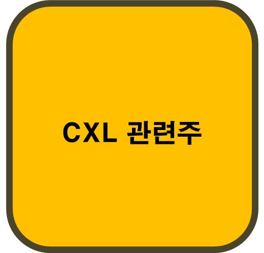 CXL 관련주