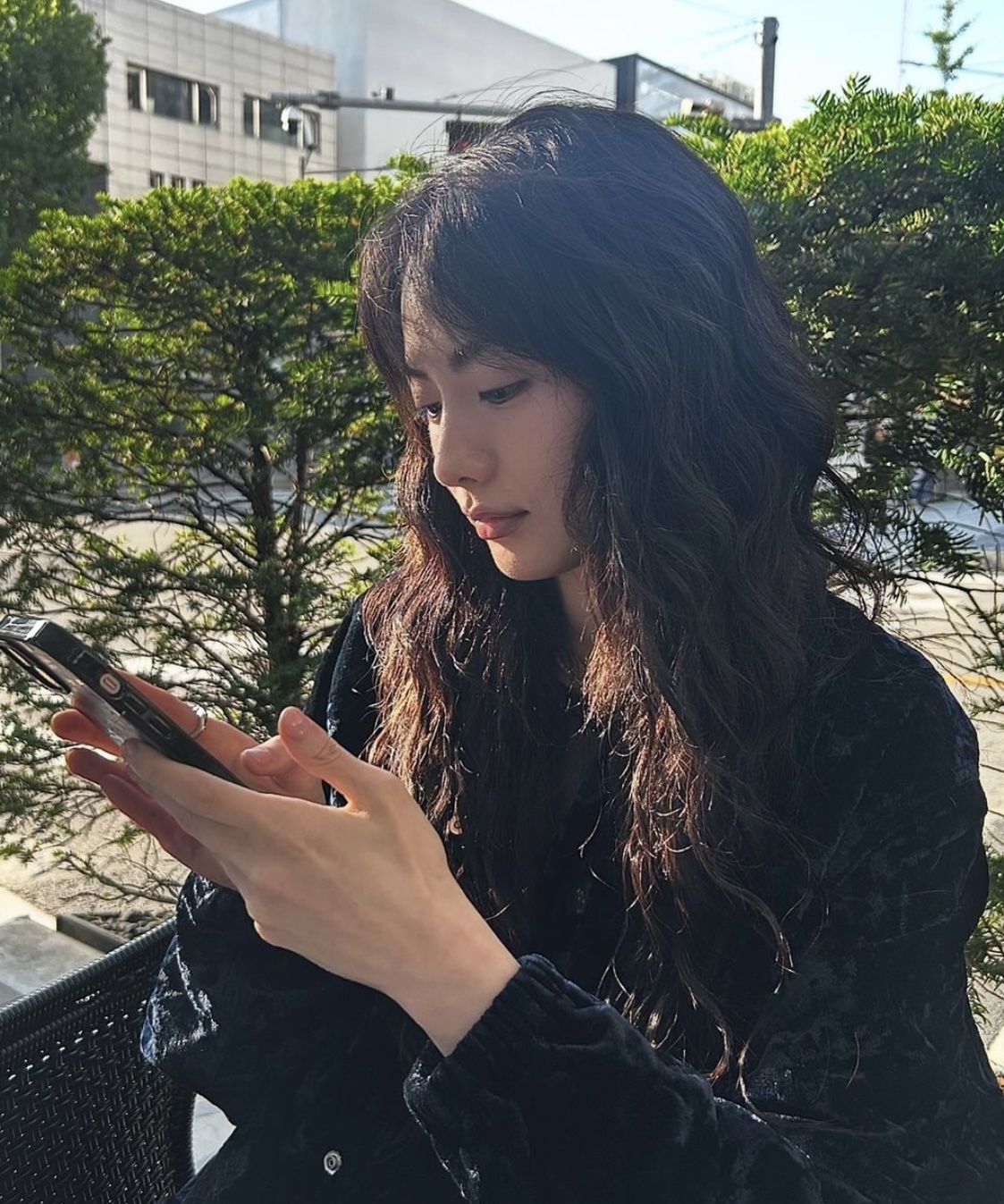 에드비 이미지