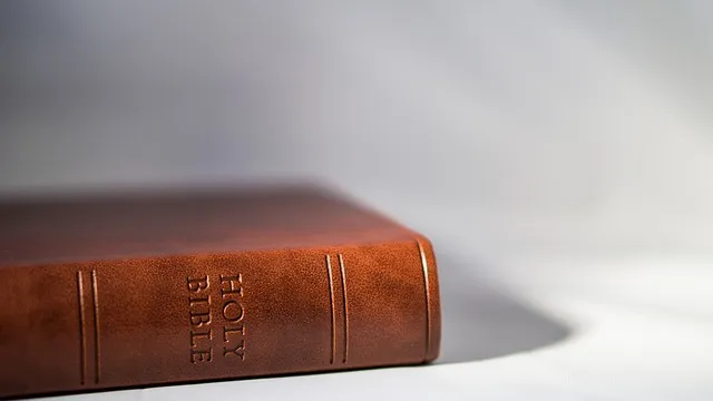 오늘의 성경 말씀 시편 119 하나님의 빛_7