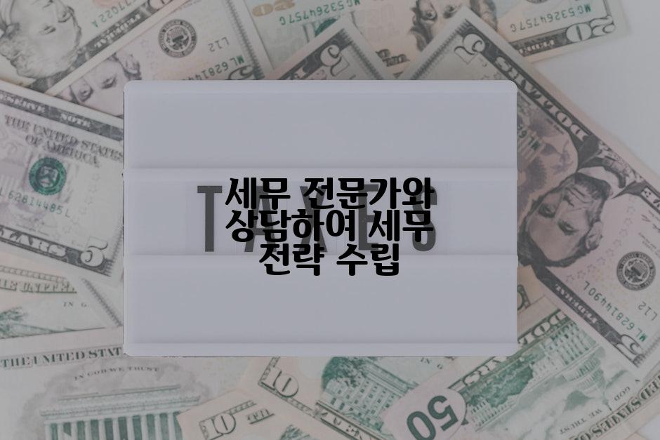 세무 전문가와 상담하여 세무 전략 수립