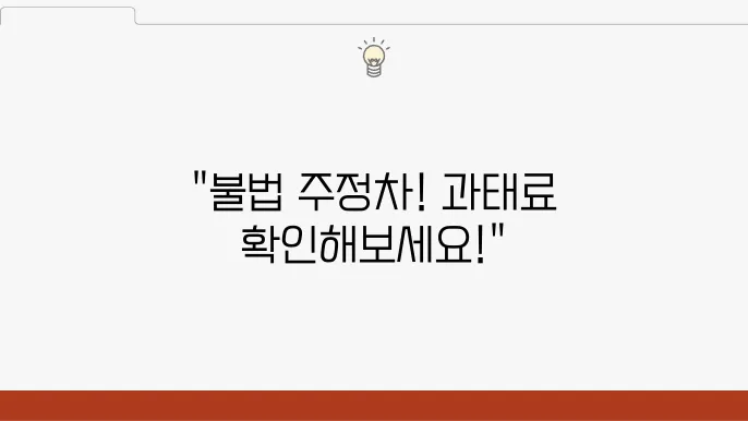 주정차 단속에 대한 정보
