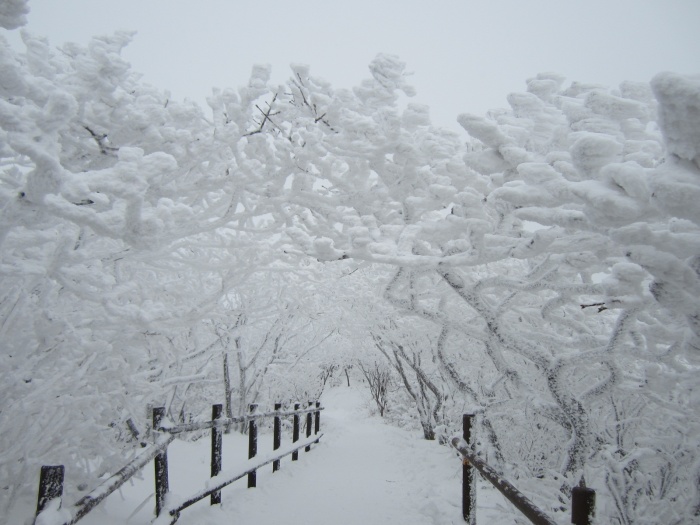 겨울-설경