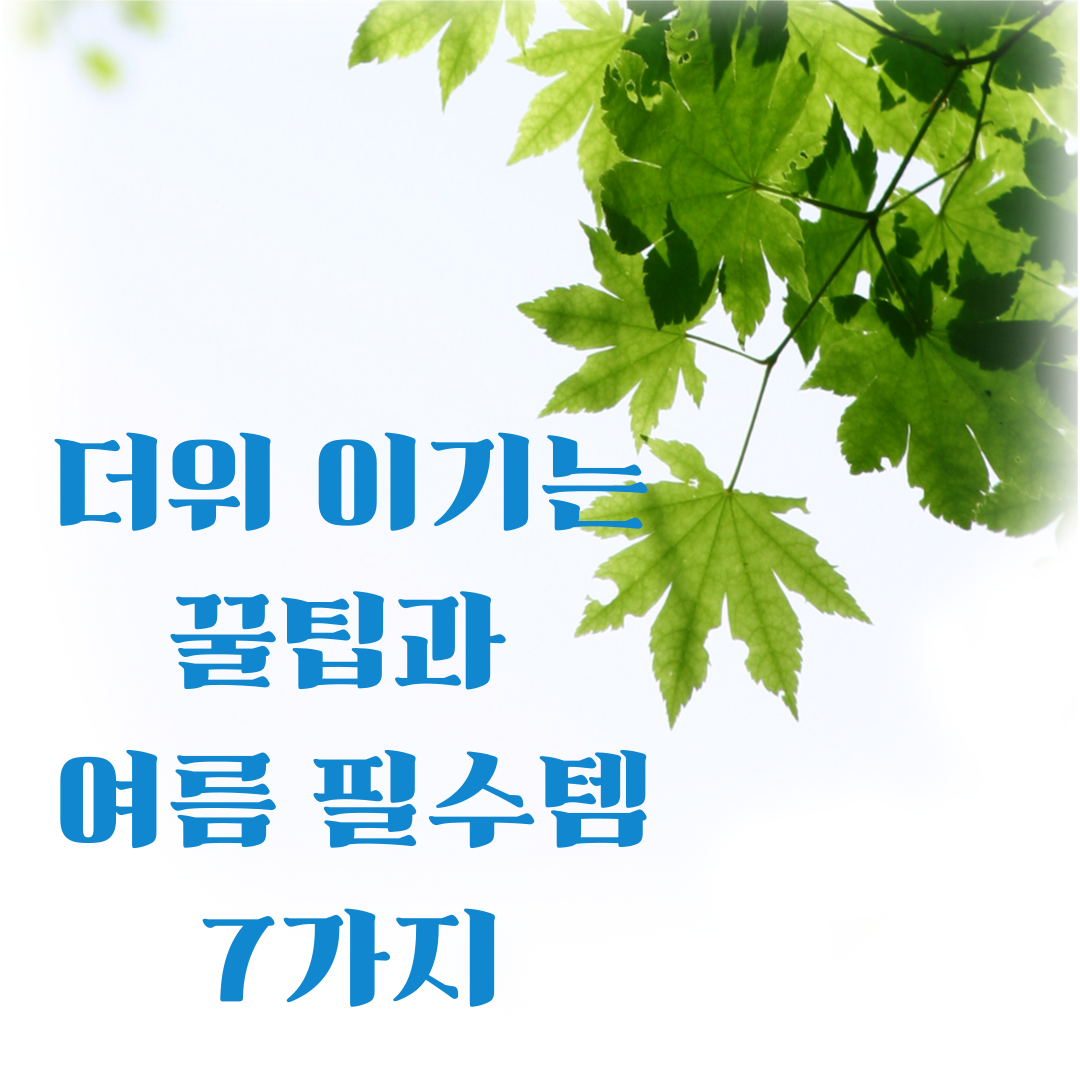 더위 이기는 꿀팁과 여름 필수템 7가지